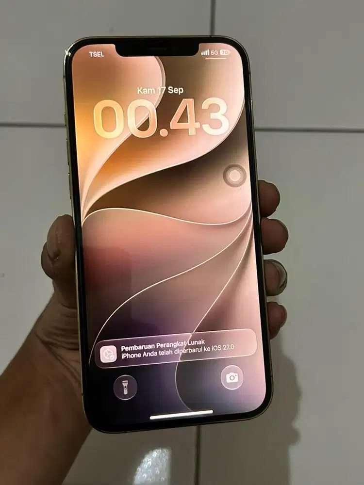 iphone 12 Pro Max 256gb inter ori ZA/A