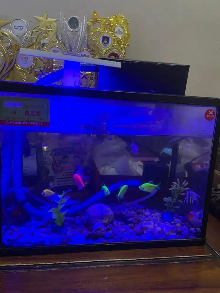 aquarium aqrilik