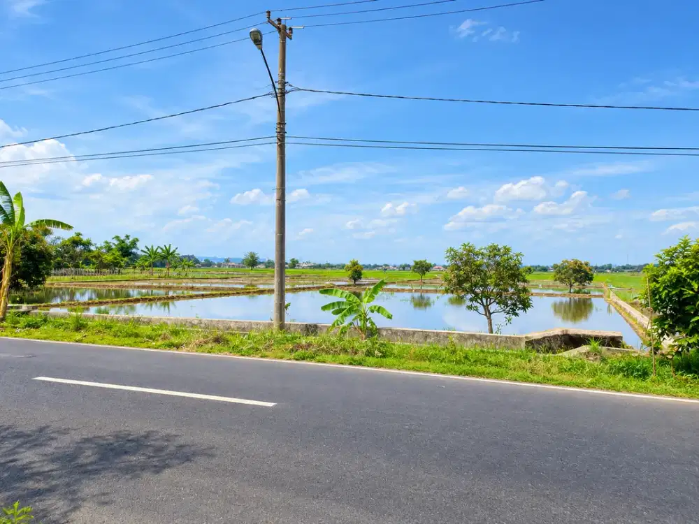 Tanah 3.000 m² Pinggir Jalan Karawang – Cocok untuk Usaha, Akses Mudah