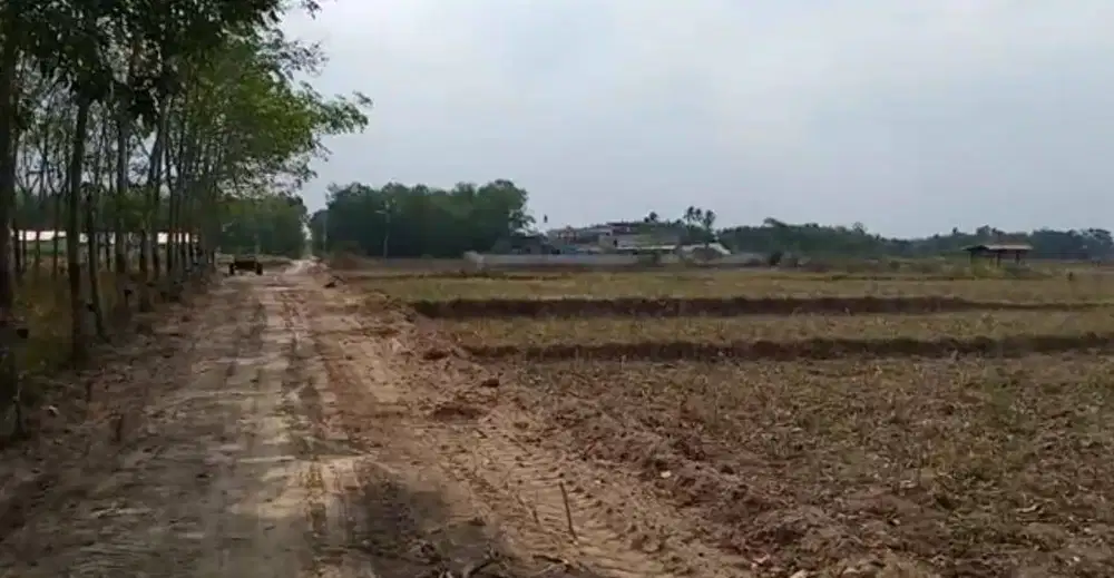 Tanah MURAH PINGGIR JALAN UTAMA DESA
