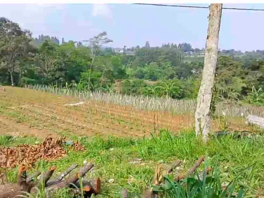 Di jual tanah darat harga lagi turun.sangat cocok untuk villa dan berkebun hanya 10 menit dari ekit tol bocimi caringin