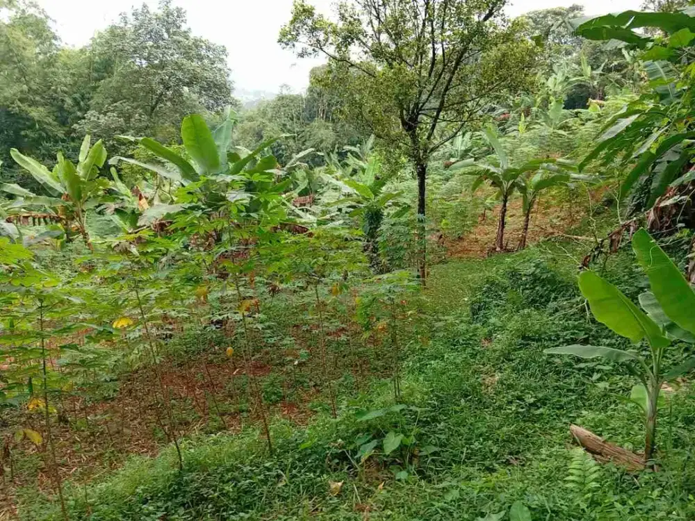 Di jual tanah darat dekat summarecon Bogor