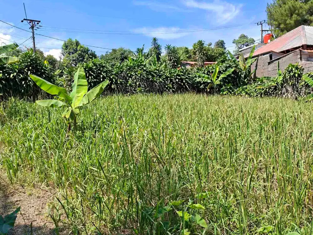 Di jual tanah darat sangat cocok untuk villa keluarga dan komersial