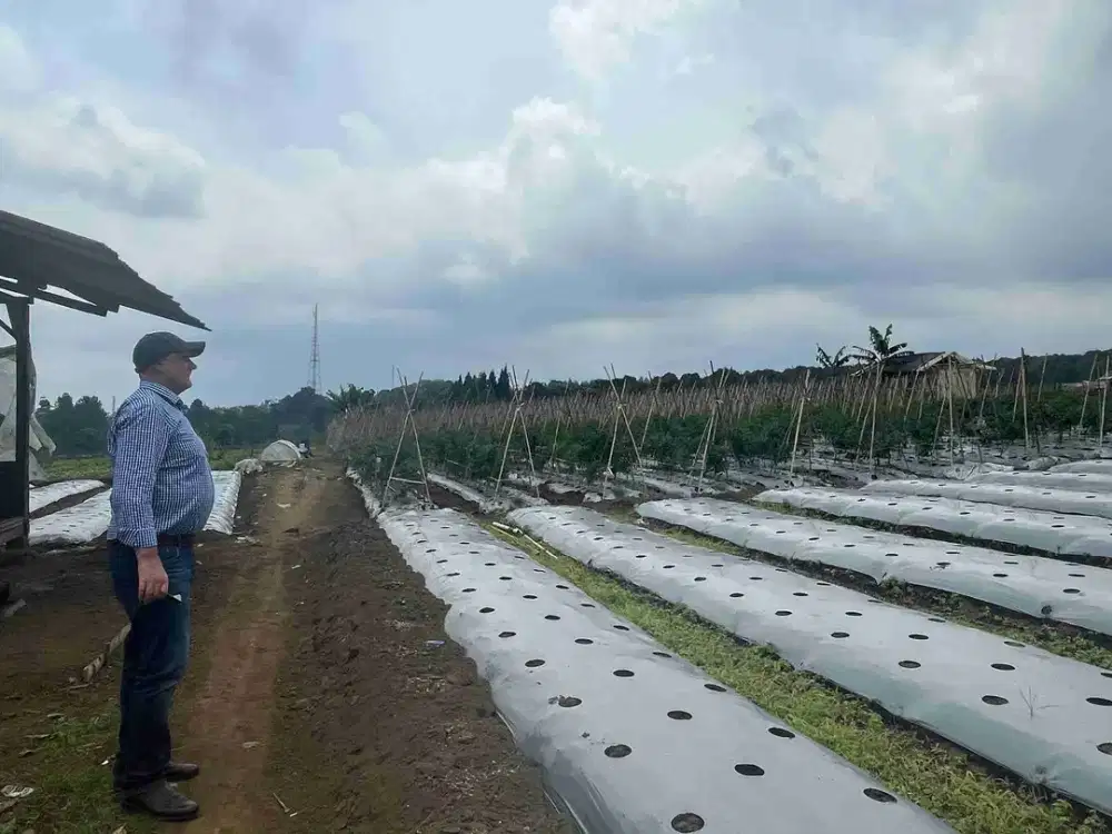 Di jual tanah sangat cocok untuk agrowisata pertanian dan perumahan.