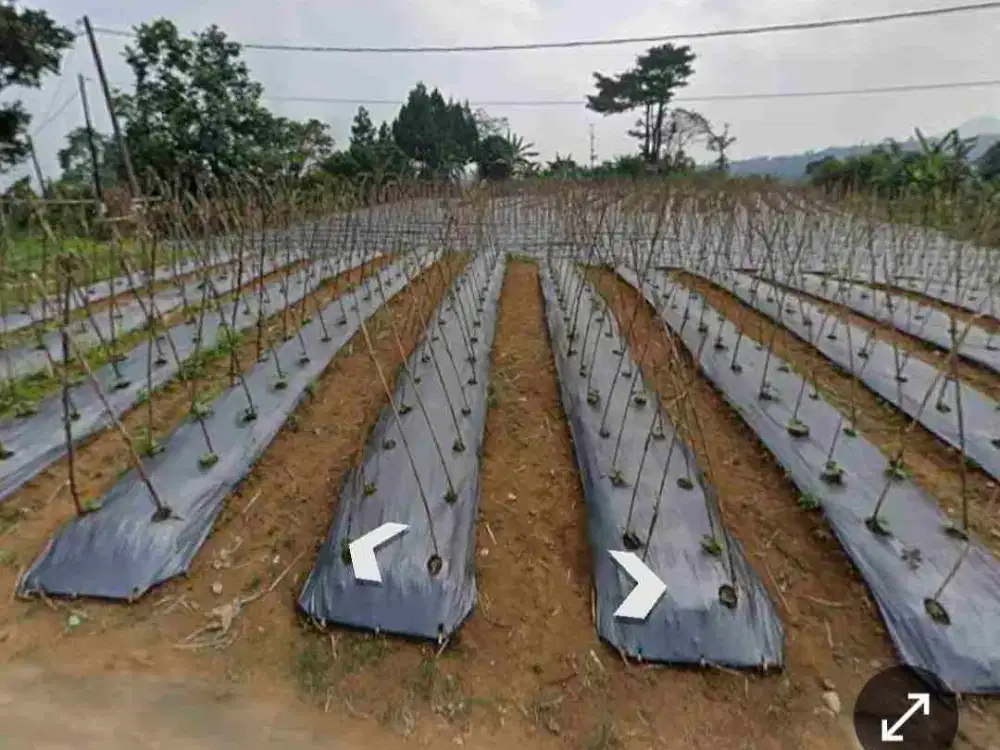 Di jual tanah sangat cocok untuk villa