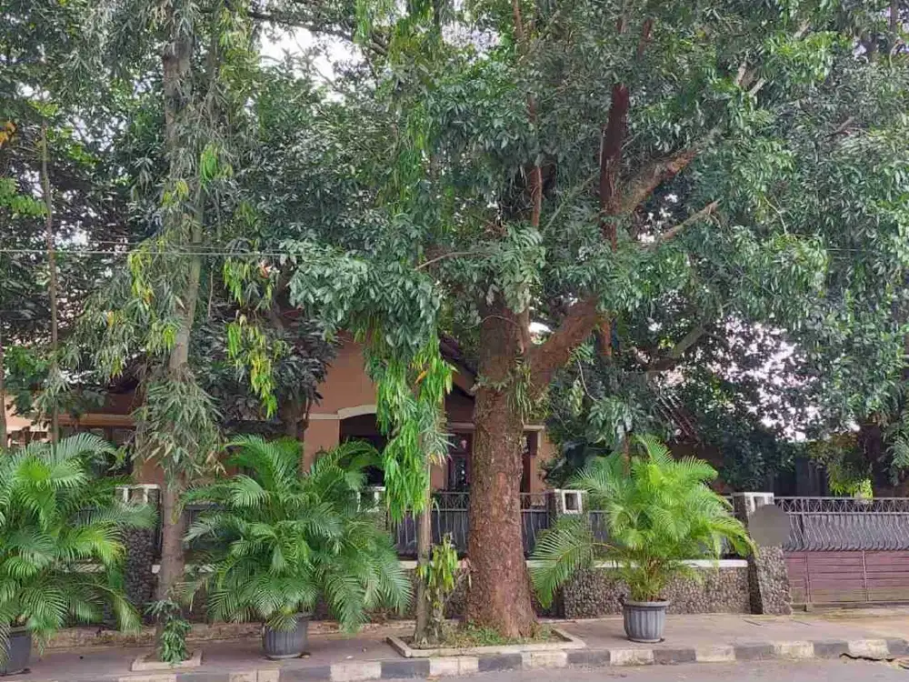 ( JALAN RAYA ) RUMAH DI JL RAYA TIRTO AGUNG BANYUMANIK SEMARANG