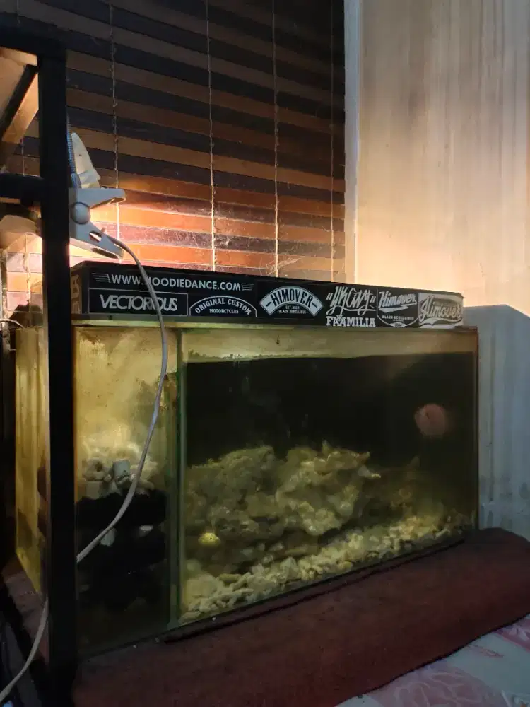 Jual Aquarium Kaca