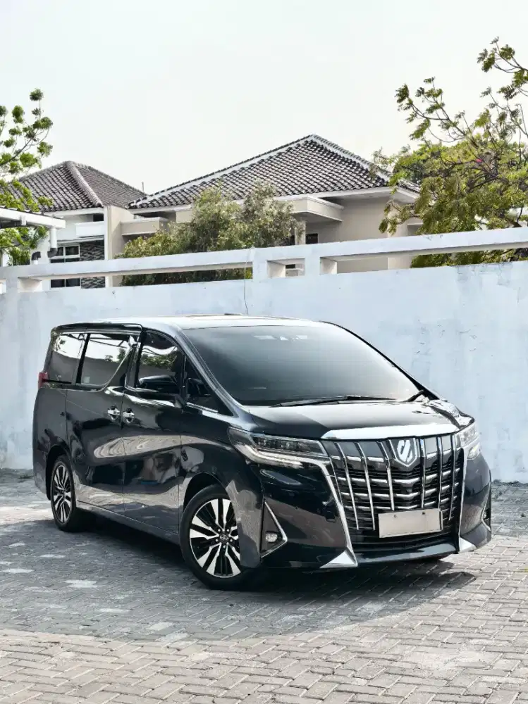 [Cash] ALPHARD G TSS