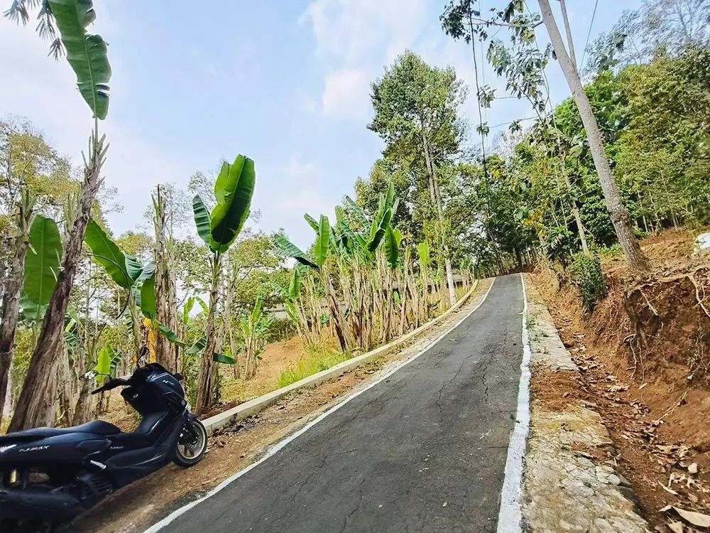 Tanah Kebun durian murah