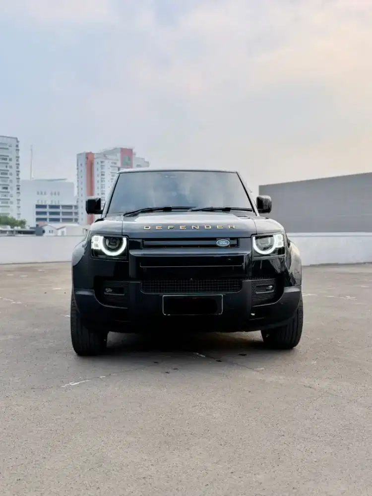 DEFENDER 110 SE P300