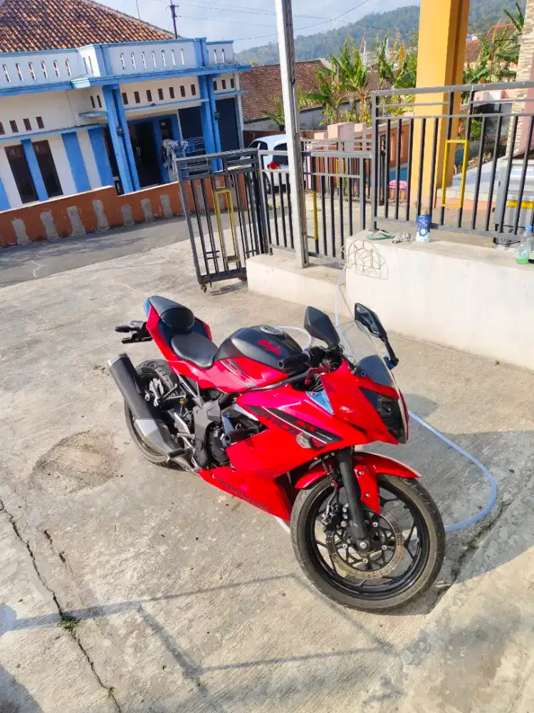 Ninja mono 250 RR