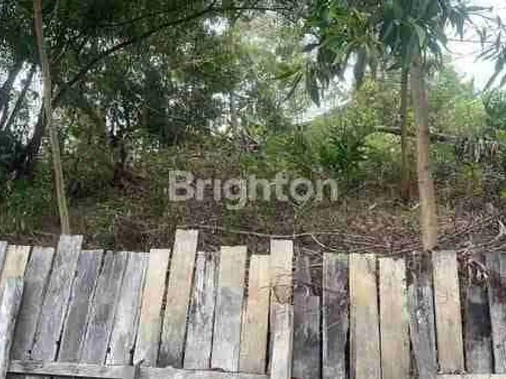 TANAH DI TENGAH KOTA COCOK BUAT RUMAH TINGGAL