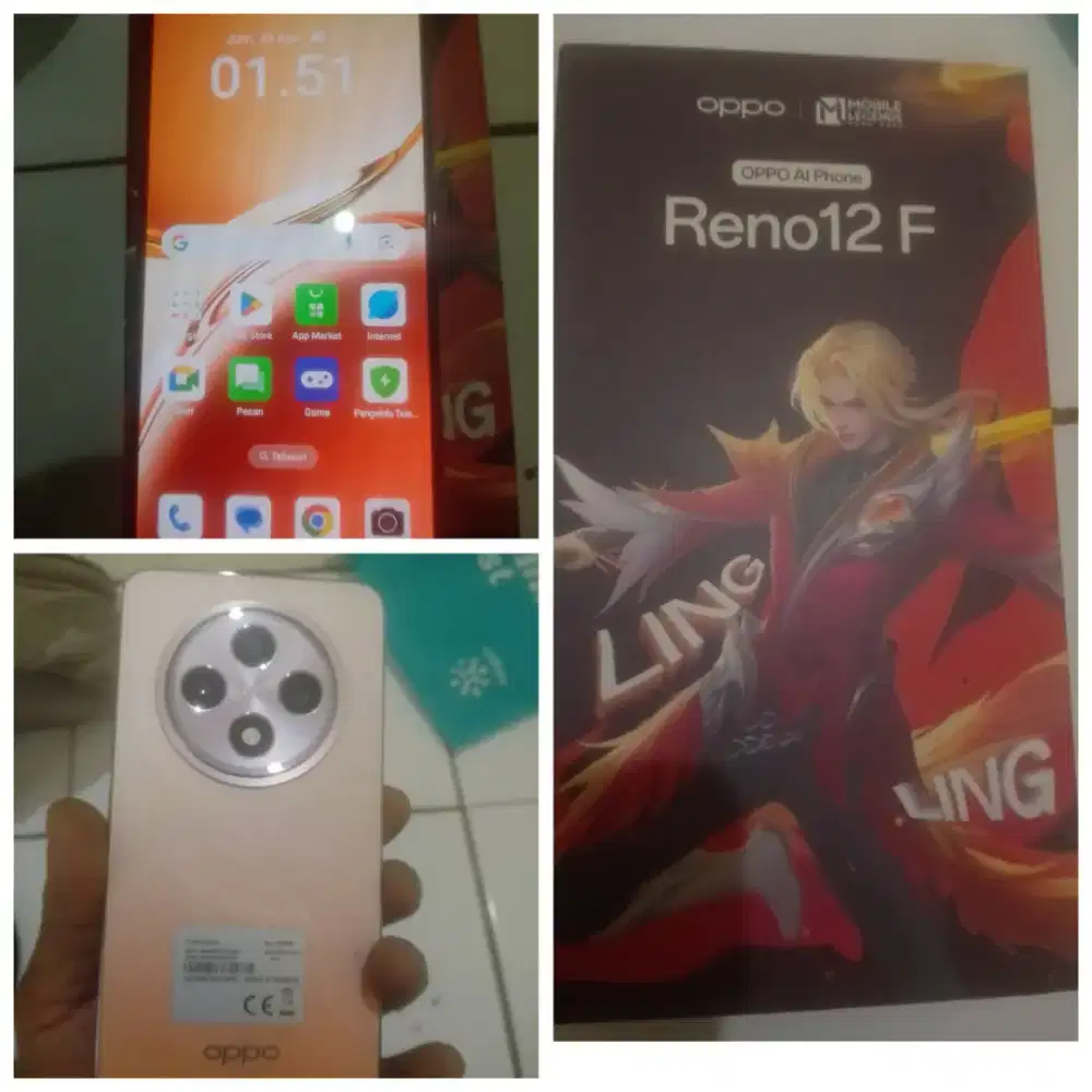 Oppo Reno 12 f 4G grees