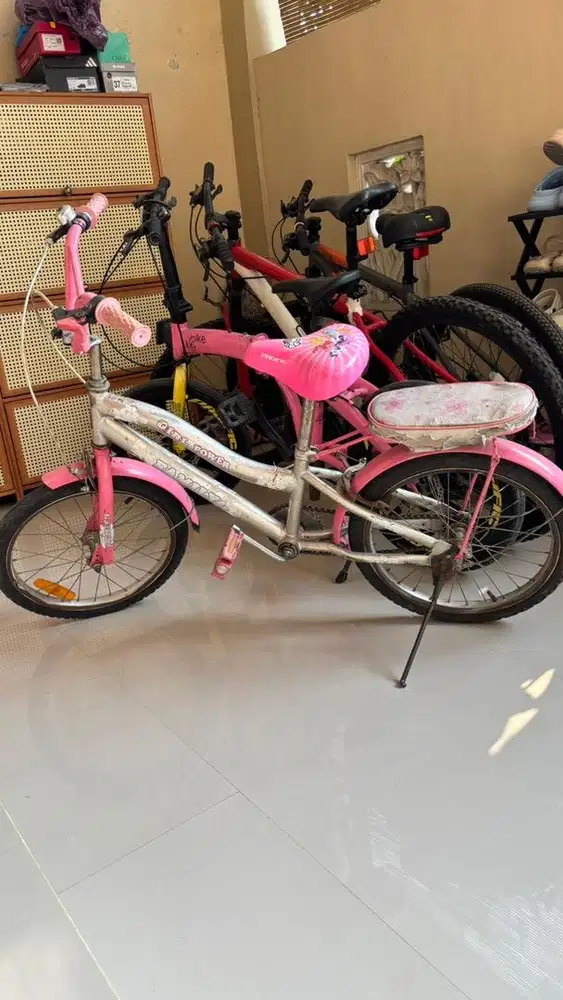 Sepeda Anak Perempuan Bekas