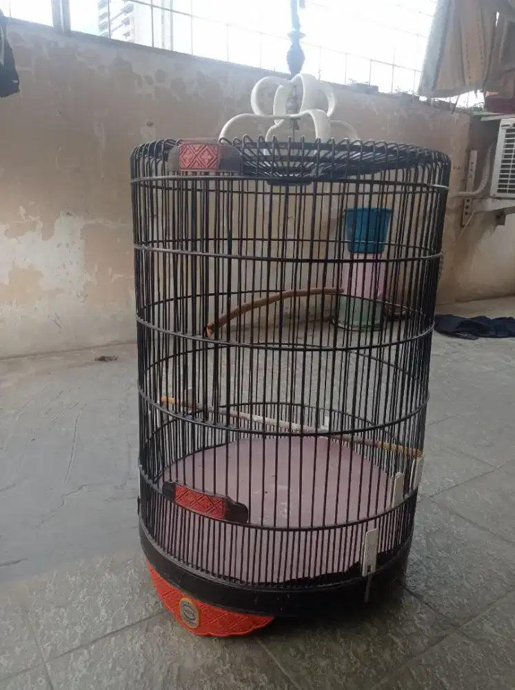 kandang murai rafi jaya no 2