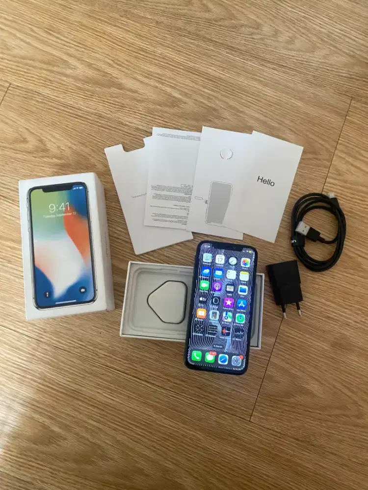 iPhone X 256 GB