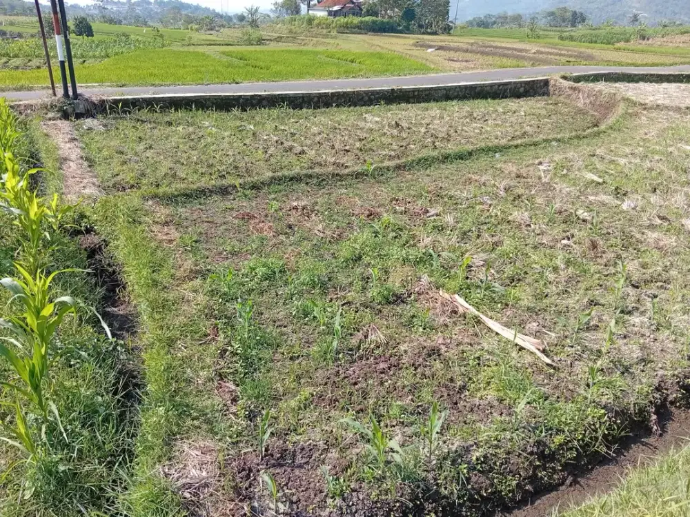 Tanah Dijual di Garut, Cibatu (3)
