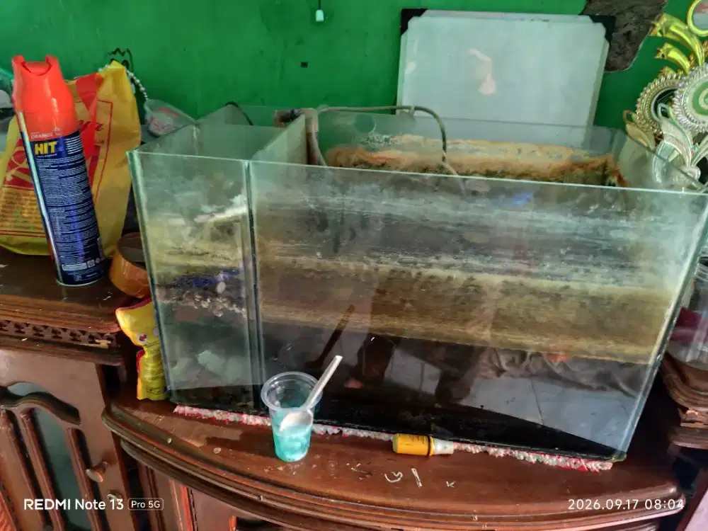 Aquarium akuarium bekas