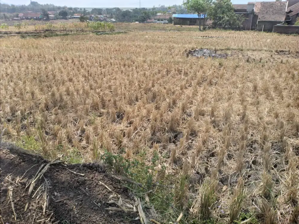 Tanah Dijual di Garut, Cibatu (2)