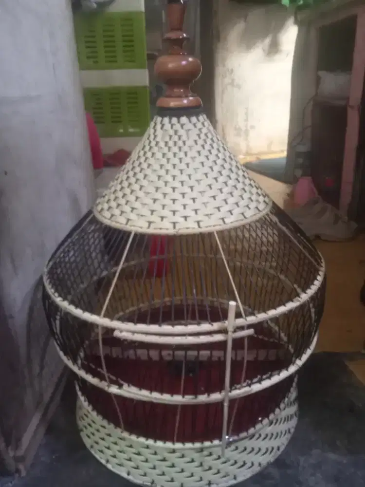 Sangkar perkutut tebok copotan