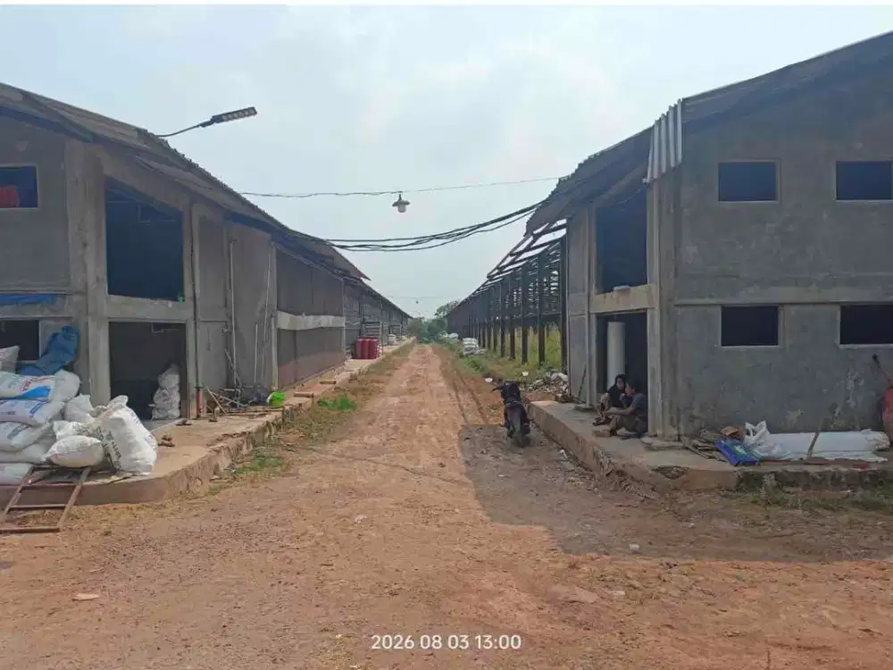 Dijual Kandang ayam produktif luas 2, 2 hektar di Subang jawa barat