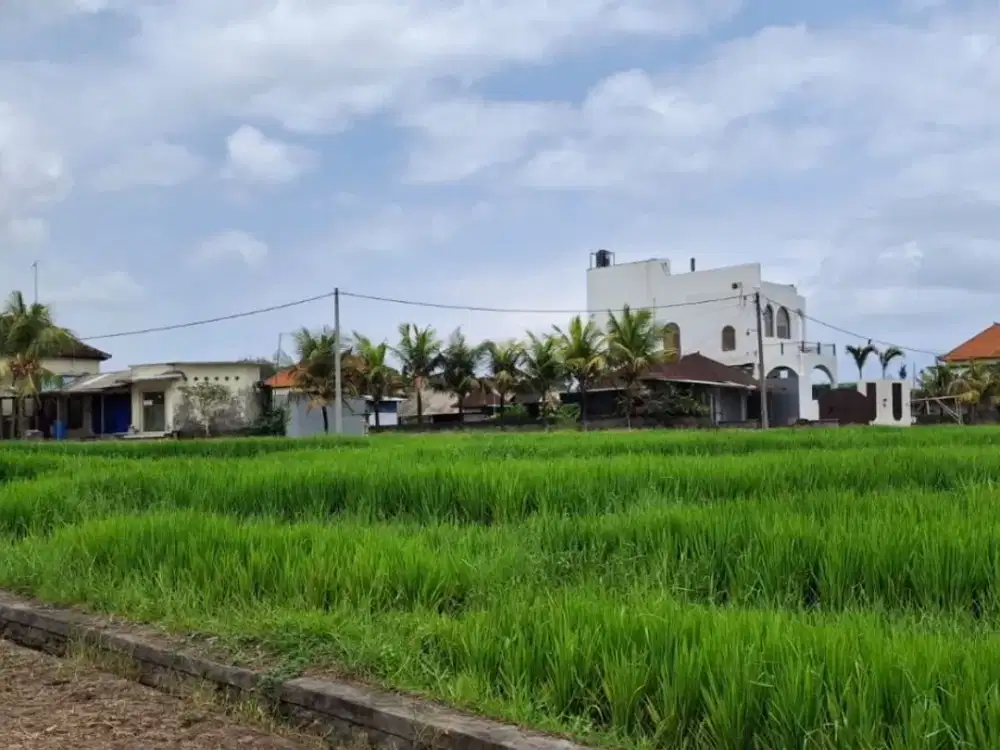 Tanah 5 Are Lokasi Premium Dijual di Kedungu, Tabanan.