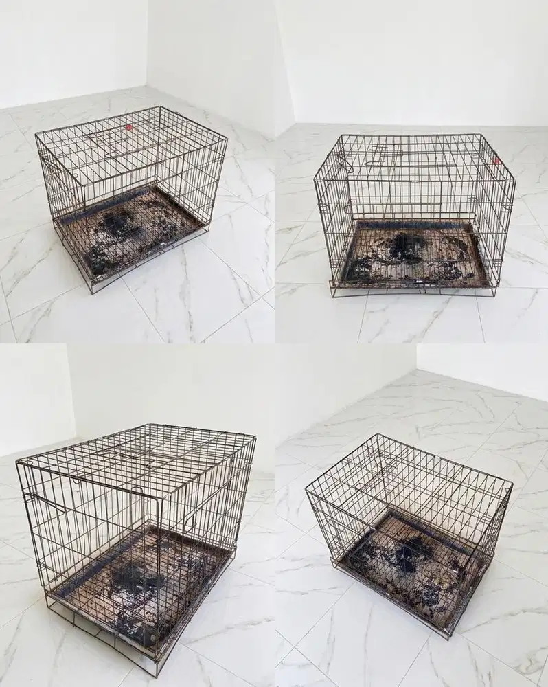 Kandang 60x42x50 kucing anjing kelinci