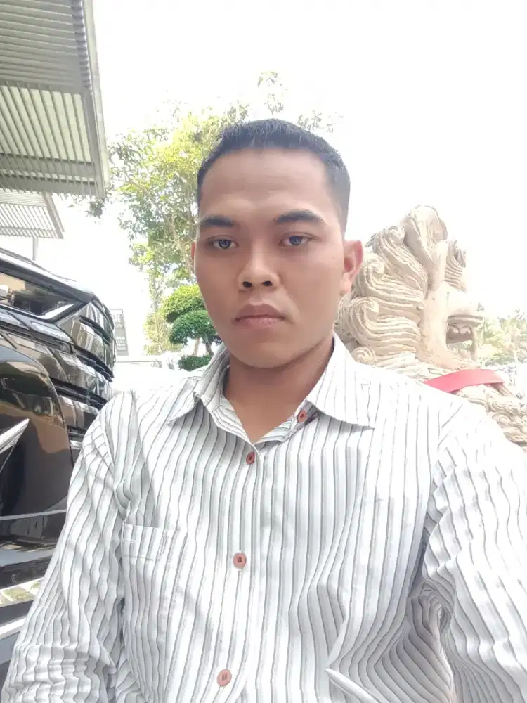 driver pribadi supir