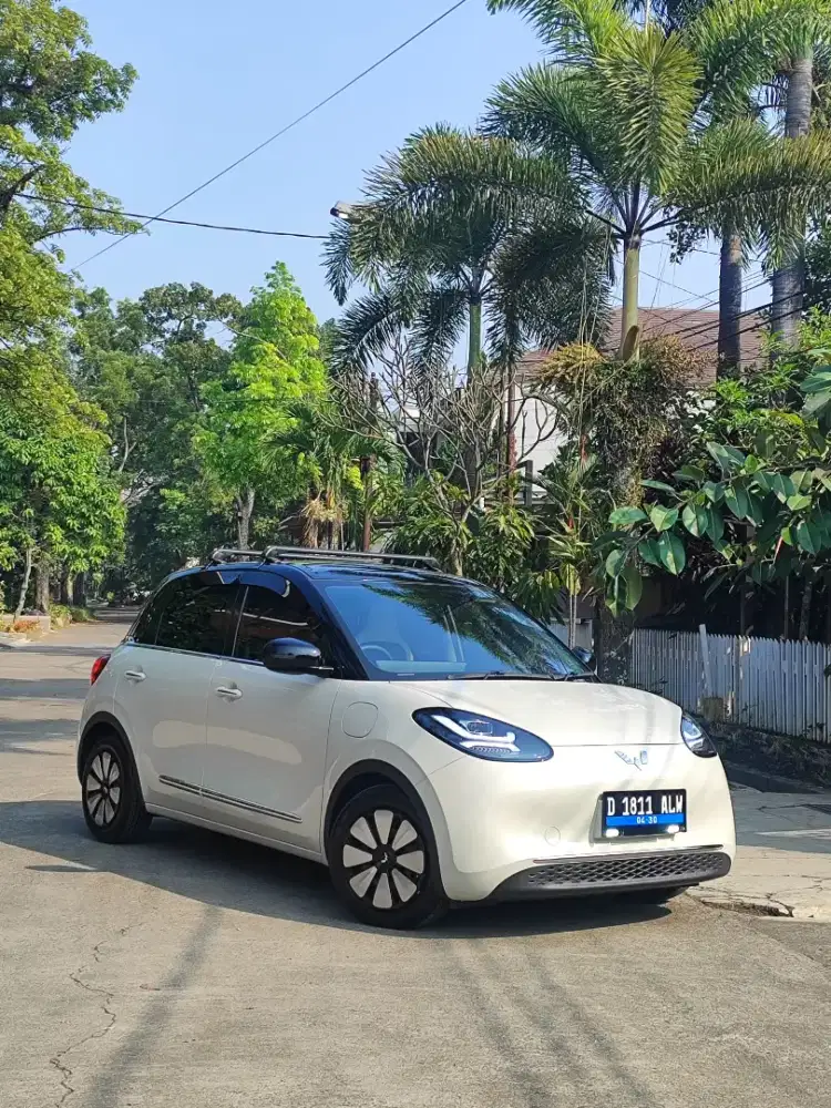 Wuling Binguo EV 410 Longe range 2024