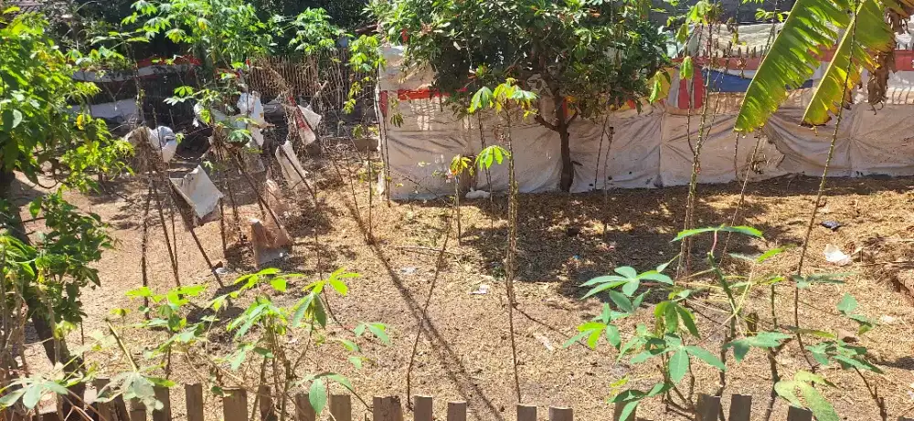 Di Jual Tanah Kosong