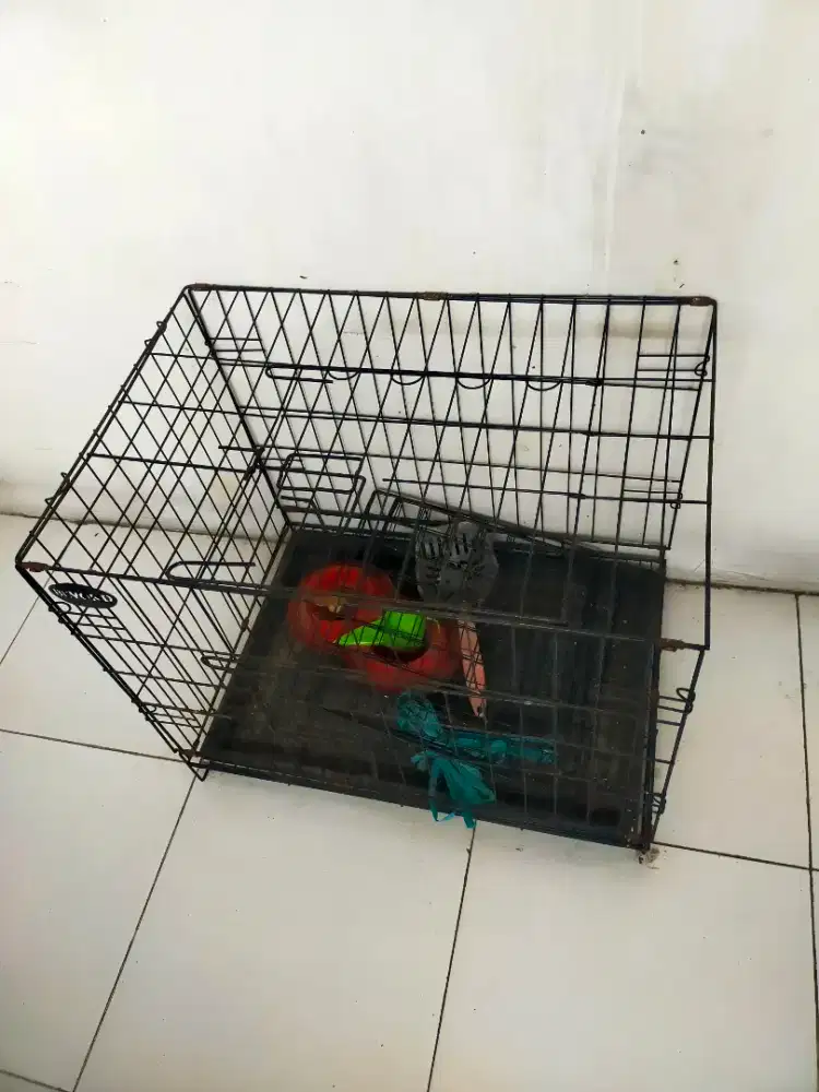 Kandang kucing Masih Bagus