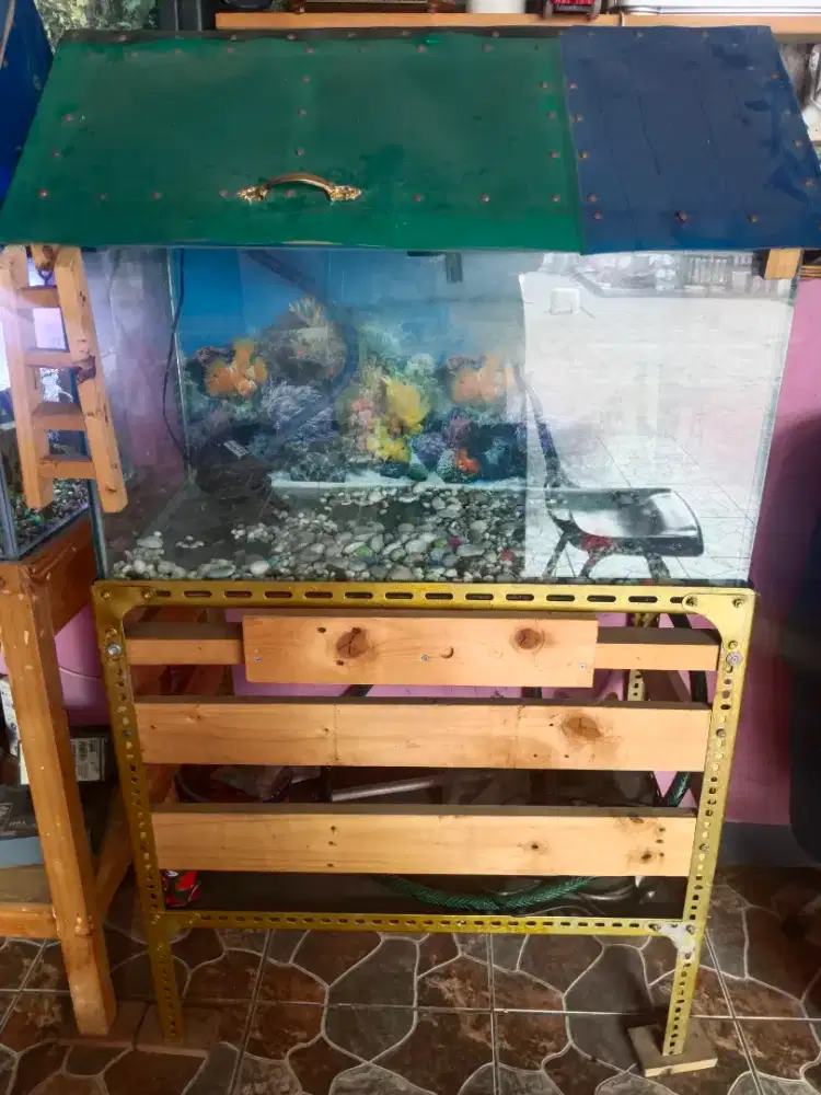 Aquarium lengkap standing