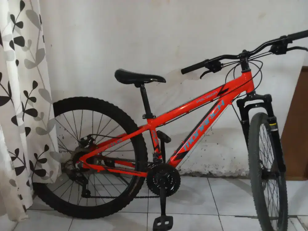 Sepeda MTB Polygon monarch junior