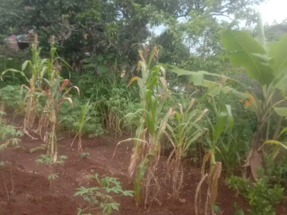Dijual Tanah Kavling di Cibatu, Garut.
