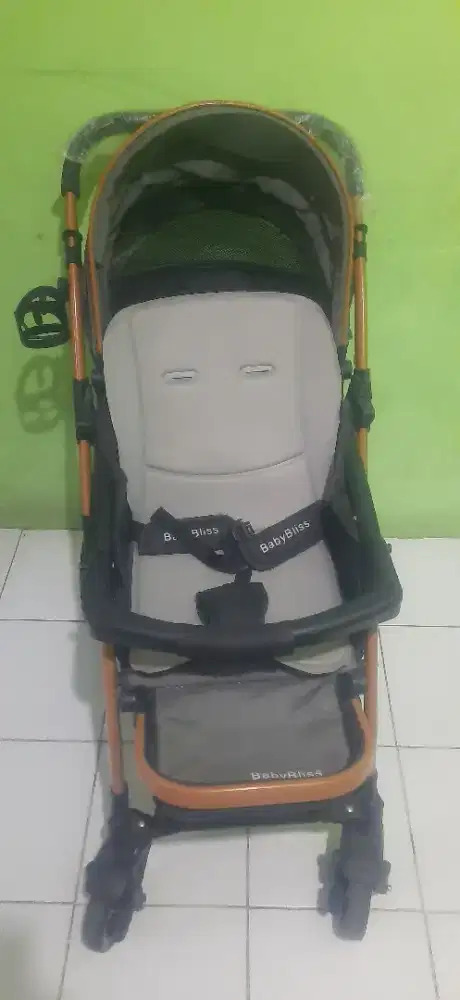 Stroller baby bliss