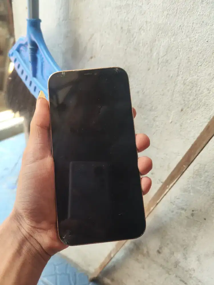 iphone 12 pro max matot
