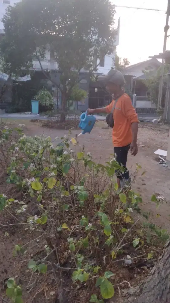 Kerja taman san nyapu komplek