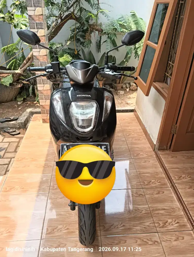 Honda Genio Th 2022 Gress