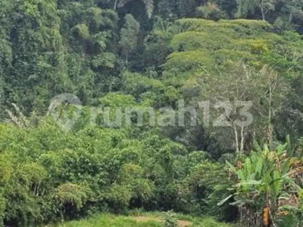 Tanah SHM 8.400 M² Zona Kuning di Sebatu Ubud - Rare Development Land, Rp9 Miliar