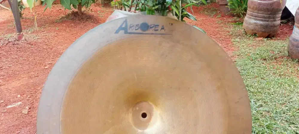 Cymbal arborea china 18