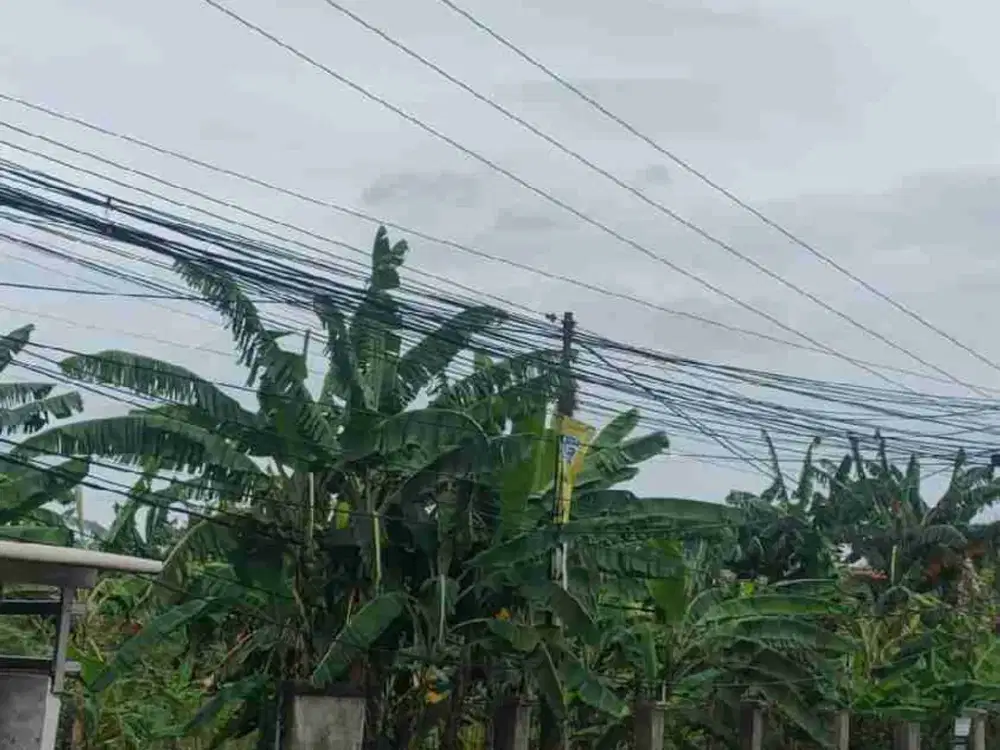Tanah 6.000m Dijual di Ciangsana Pinggir Jalan Raya Lokasi 
Strategis