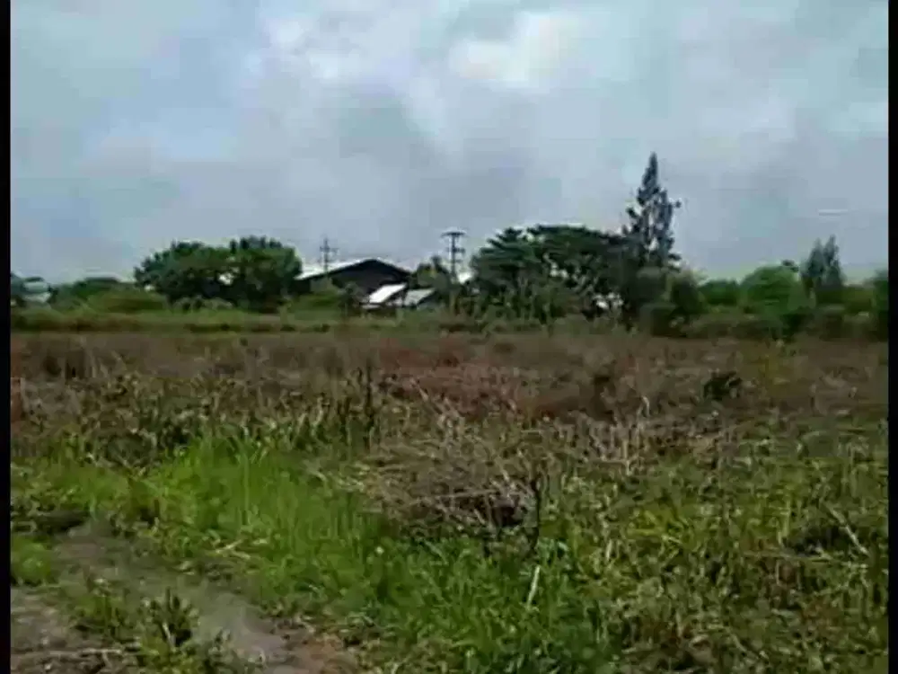 Jual tanah BU daerah widang Tuban