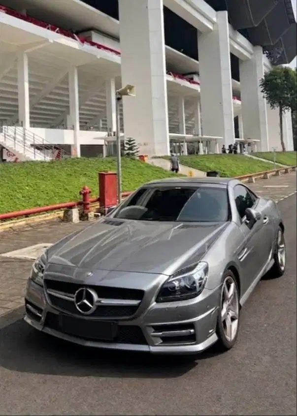 Mercedes Benz SLK250 2012 silver bu mercedes-benz slk250 2011/2013