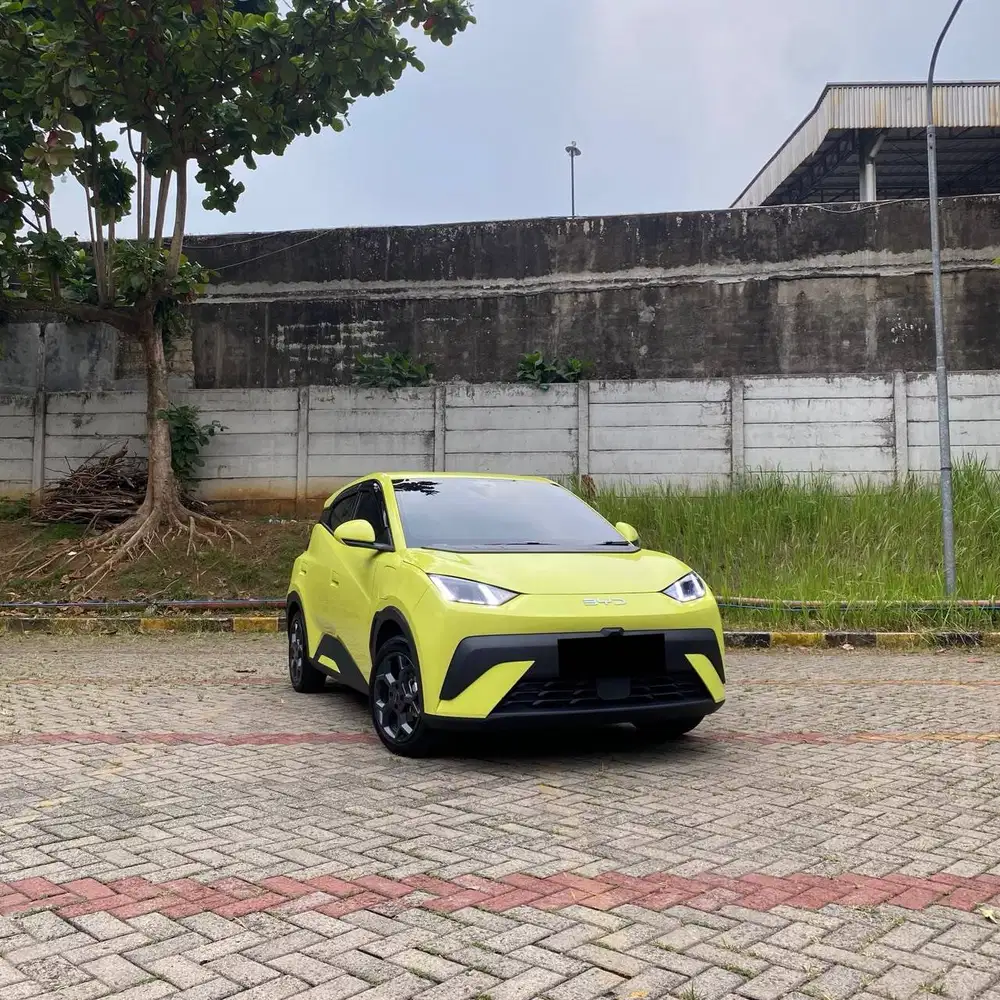 2025 BYD Atto 1 Premium Long Range
