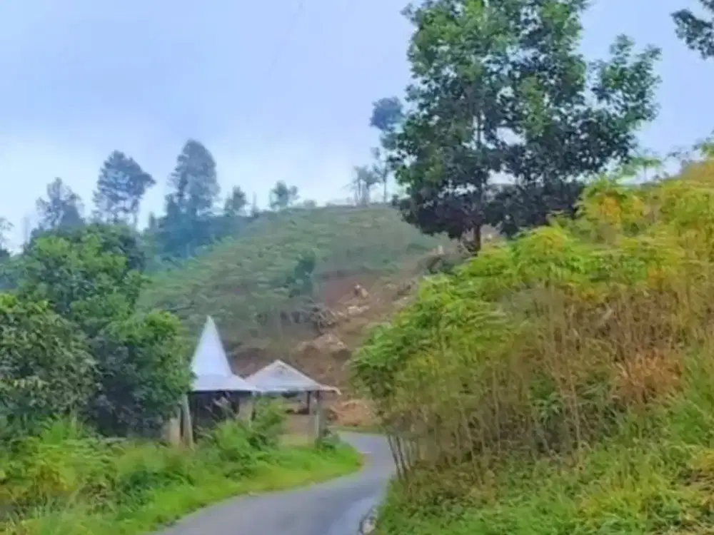 Dijual Tanah Darat 3,6 Hektar di Babakan Madang, Bogor