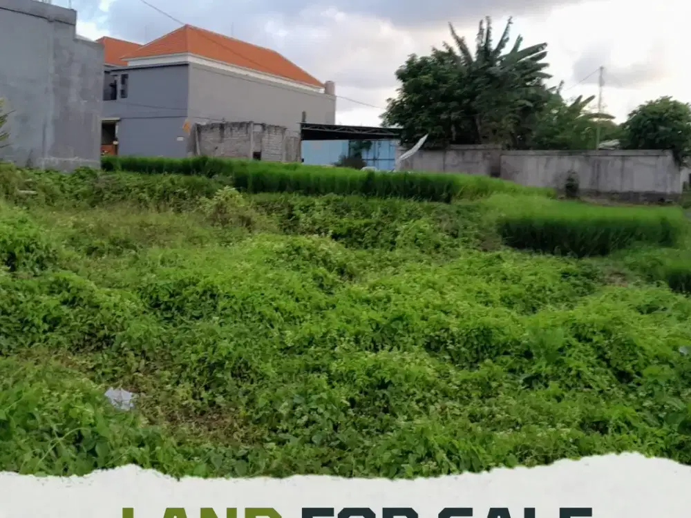 Dijual Tanah full view sawah super langka siap Bangun Buduk - Tumbak Bayuh Badung Bali