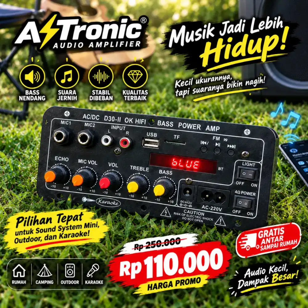 Amplifier d30 II