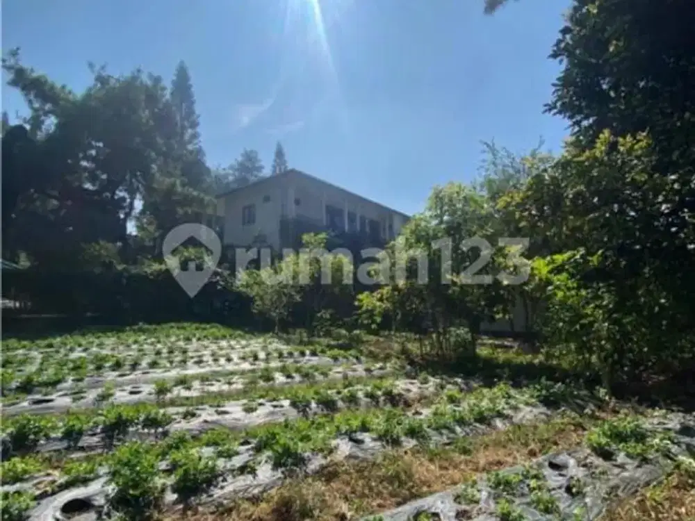 Dijual Tanah Kavling Murah di Villa Istana Bunga Lembang Bandung Barat