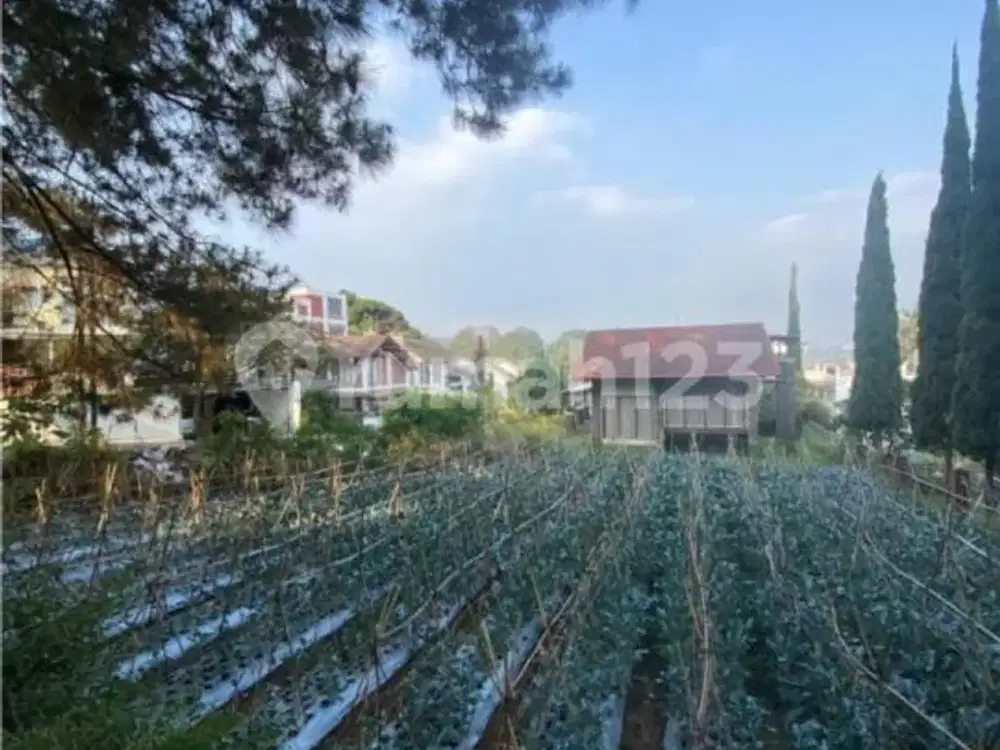 Dijual Tanah Kavling Siap Bangun di Lokasi Favorit Villa Istana Bunga Lembang Bandung