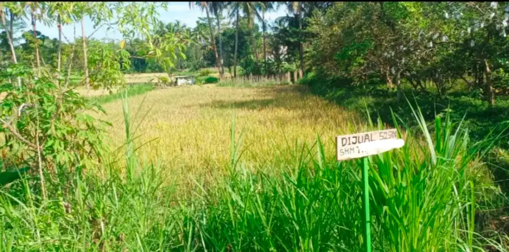 Dijual Tanah Tanpa Perantara